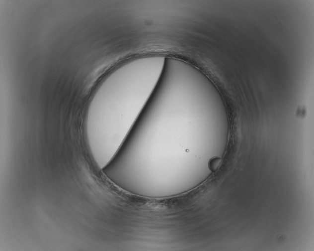 X0000112510640200908171049