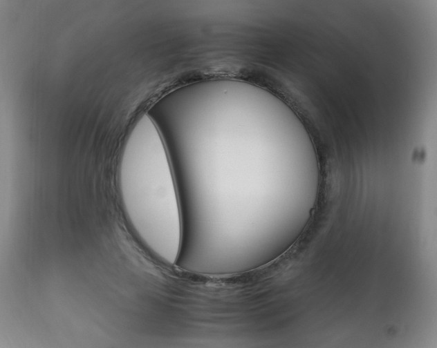 X0000112510641200908171049