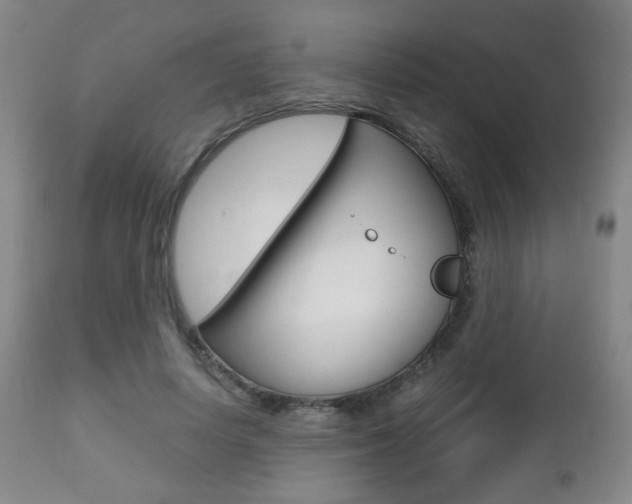 X0000112510642200908171049