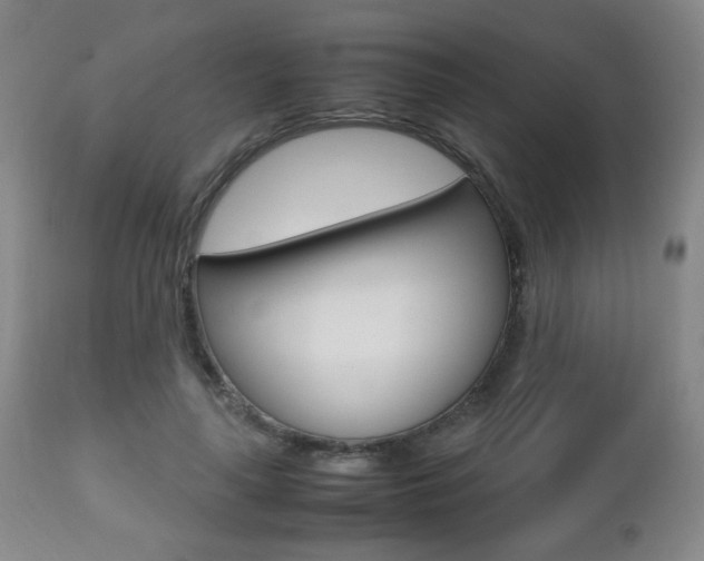 X0000112510643200908171049