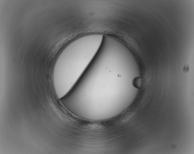 X0000112510644200908171049
