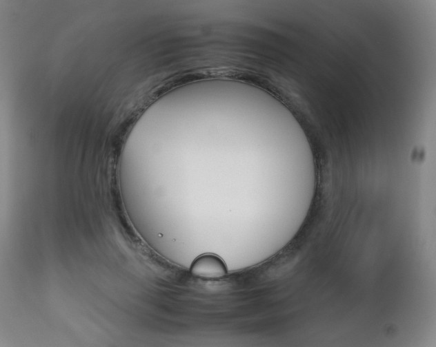 X0000112510645200908171049