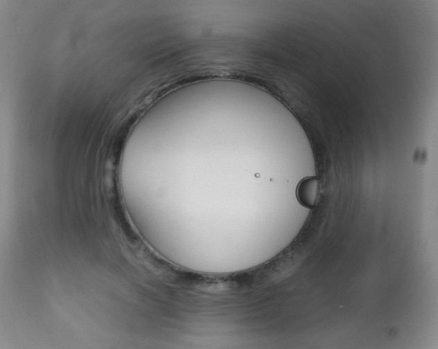 X0000112510646200908171049