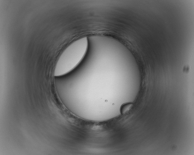 X0000112510647200908171049