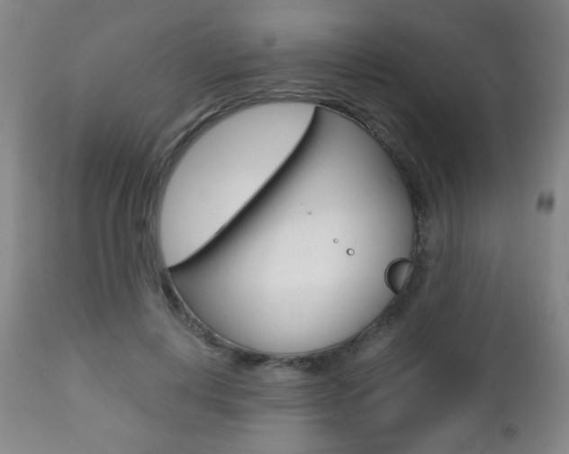 X0000112510648200908171049