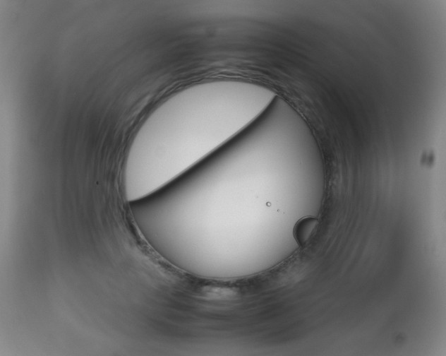 X0000112510649200908171049