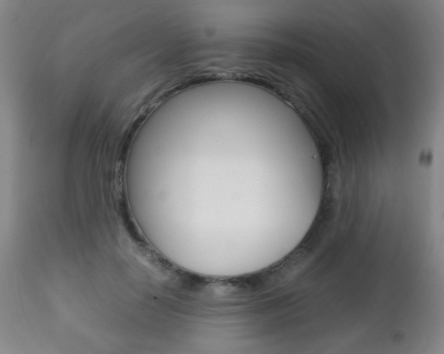 X0000112510650200908171049