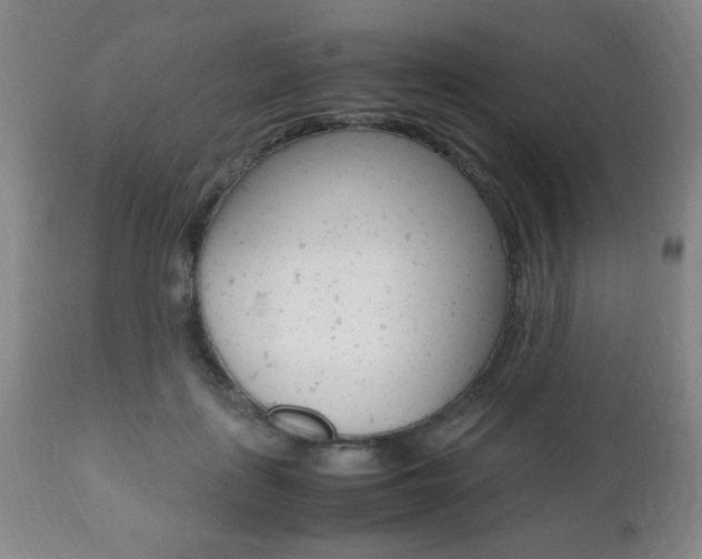 X0000112510651200908171049