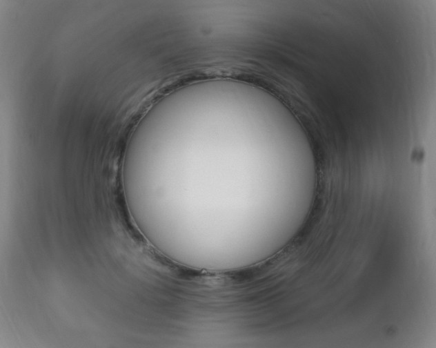 X0000112510652200908171049