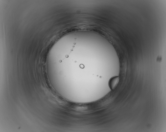 X0000112510653200908171049