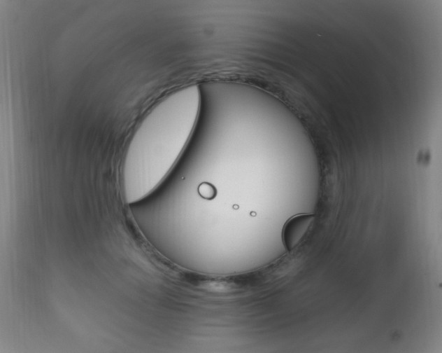 X0000112510654200908171049