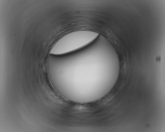 X0000112510655200908171049