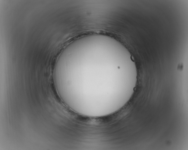 X0000112510656200908171049