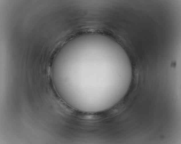 X0000112510657200908171049