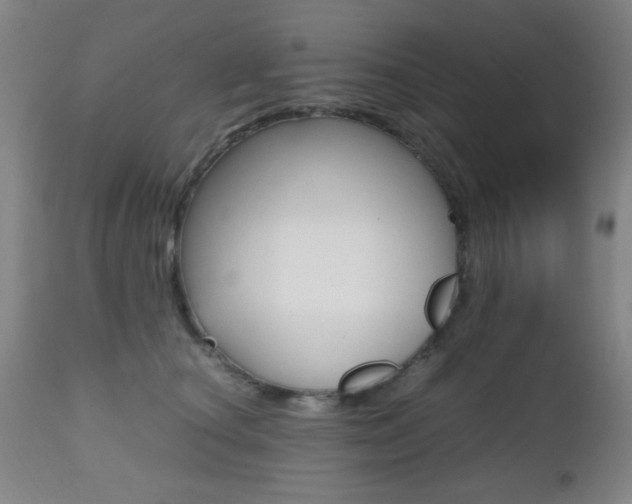 X0000112510660200908171049