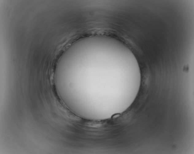 X0000112510661200908171049