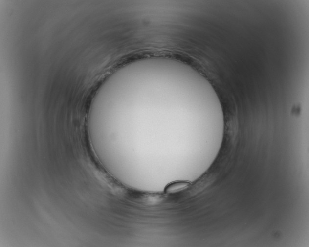 X0000112510662200908171049