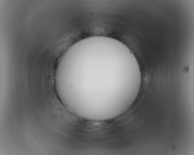 X0000112510663200908171049