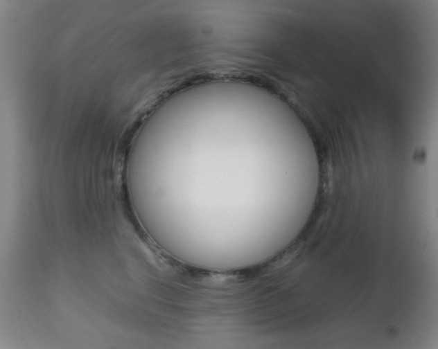X0000112510664200908171049