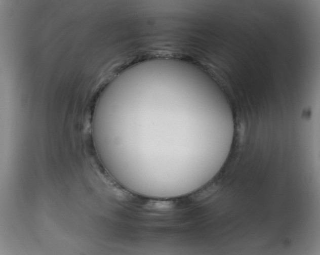 X0000112510665200908171049