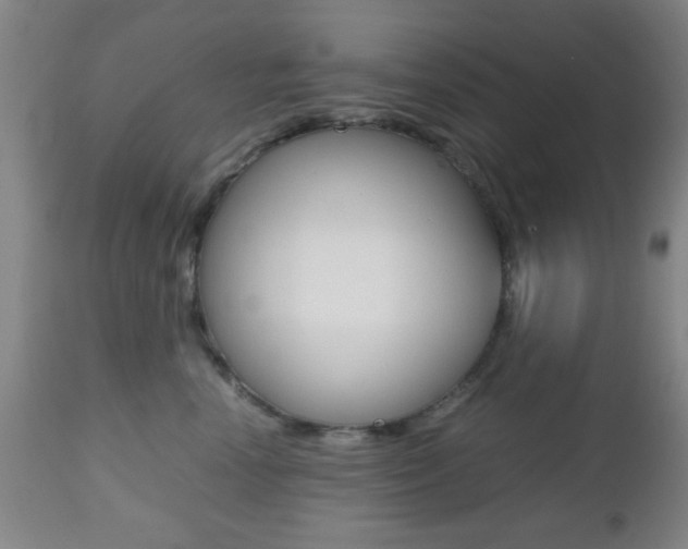 X0000112510666200908171049