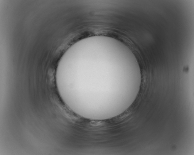 X0000112510667200908171049