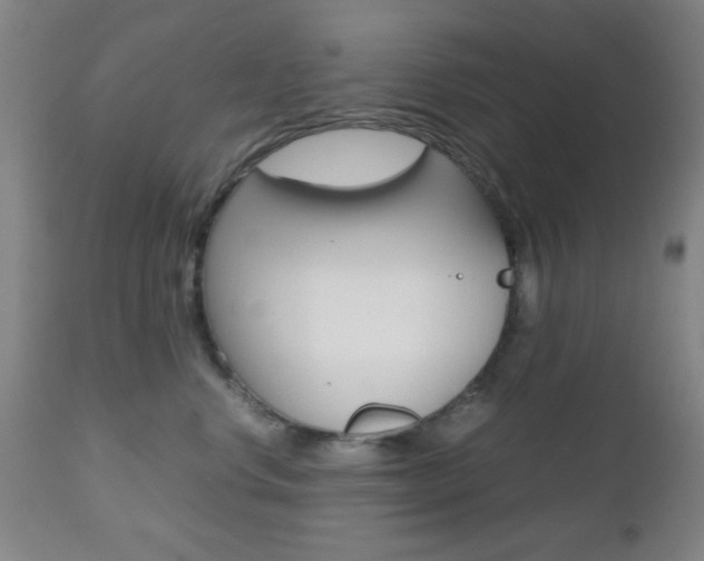 X0000112510668200908171049