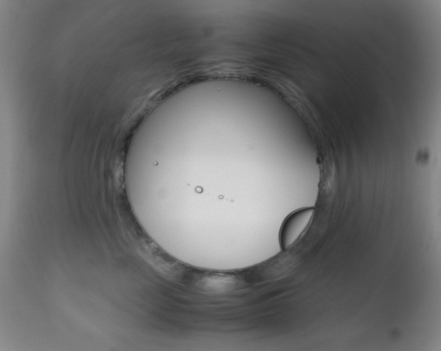 X0000112510669200908171049