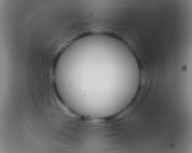 X0000112510670200908171049