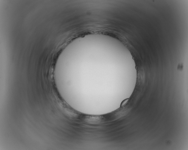 X0000112510671200908171049