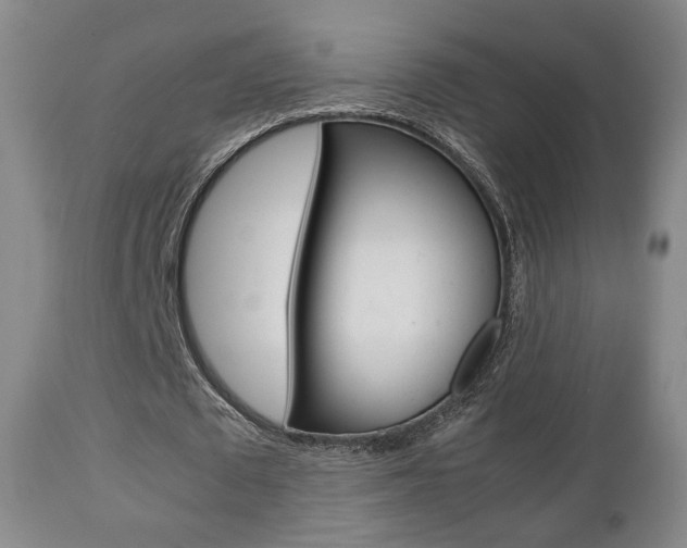 X0000112510673200908171049