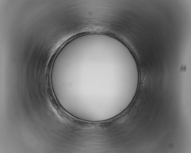 X0000112510674200908171049