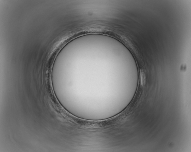 X0000112510675200908171049