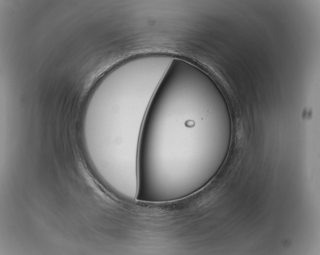 X0000112510677200908171049