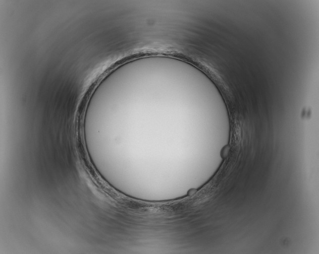 X0000112510678200908171049
