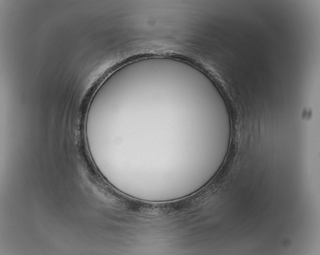 X0000112510679200908171049