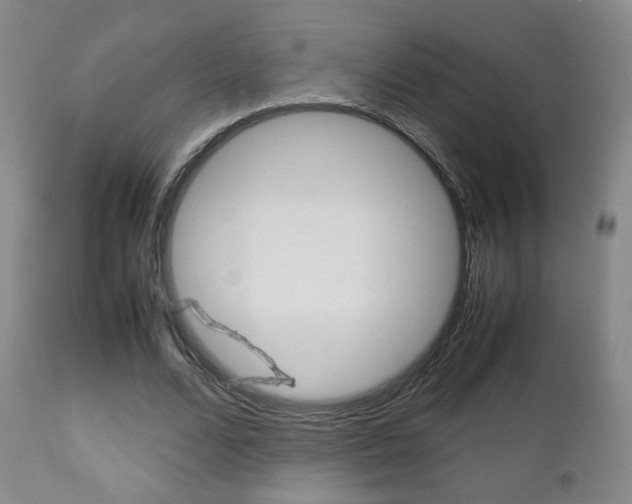 X0000112510680200908171049
