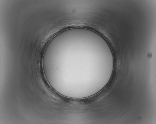 X0000112510681200908171049