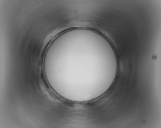 X0000112510682200908171049