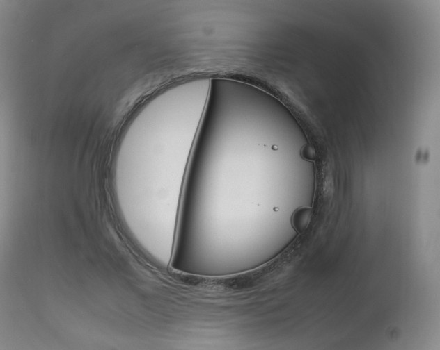 X0000112510685200908171048