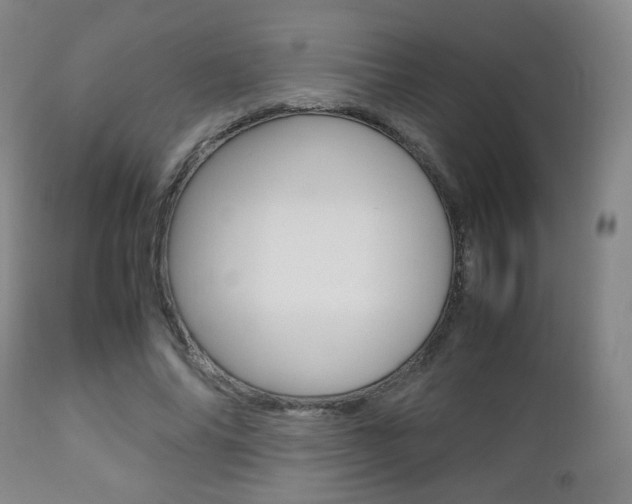 X0000112510686200908171048
