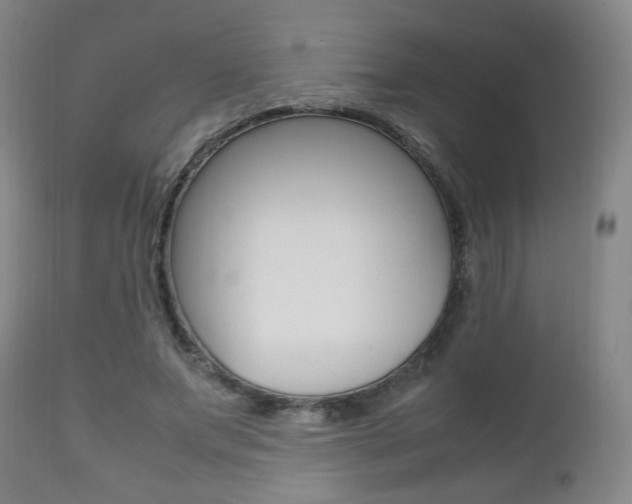 X0000112510687200908171048