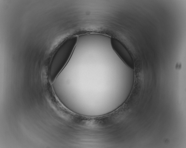X0000112510688200908171048