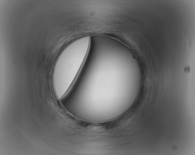 X0000112510689200908171048