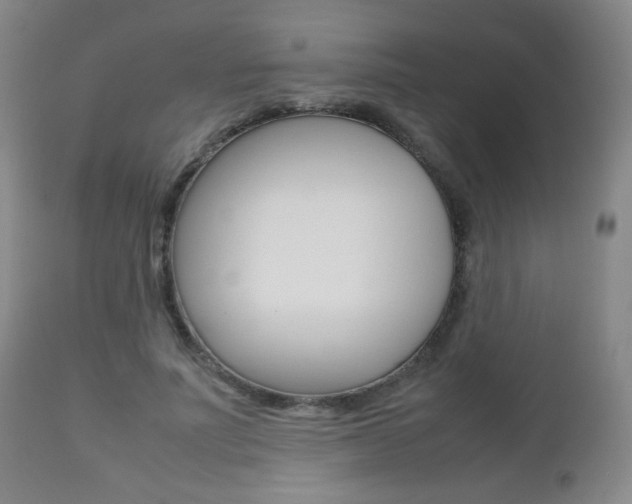X0000112510691200908171048