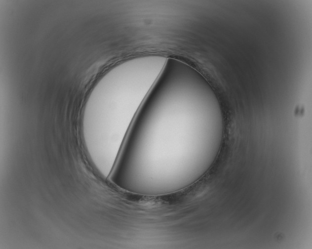 X0000112510693200908171048