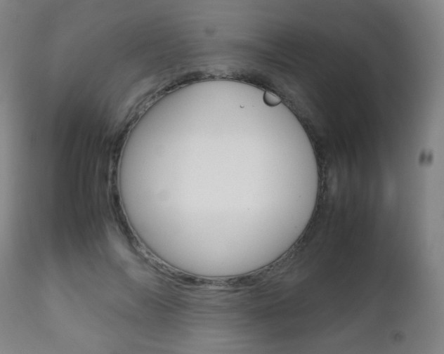 X0000112510694200908171048