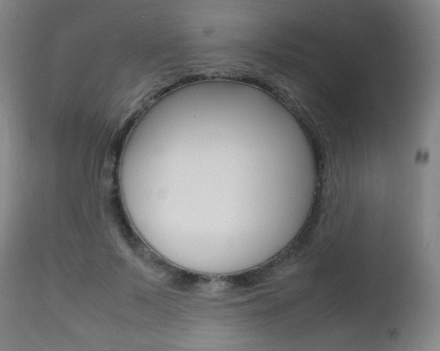 X0000112510695200908171048