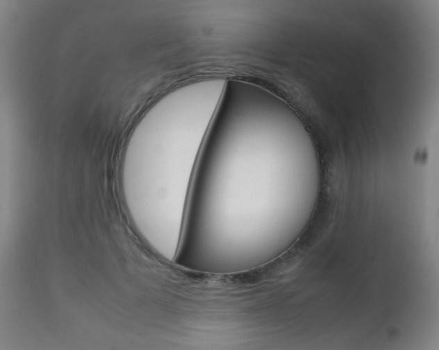 X0000112510697200908171048