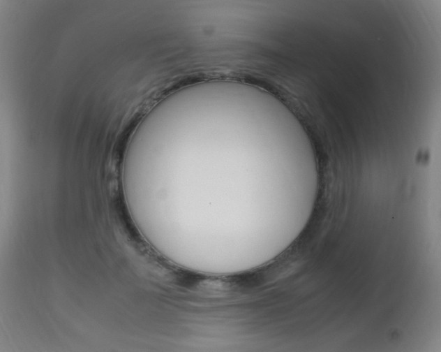 X0000112510699200908171048